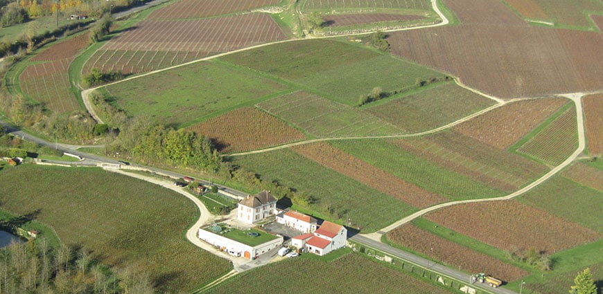 Maison de Champagne Léguillette Romelot