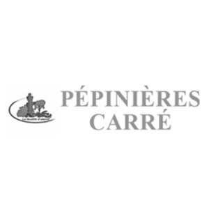 pepinnieres carres