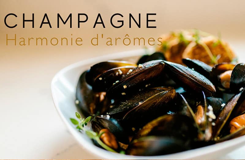 moule,moule mariniere,moules mer,moules mer du nord,moules marinières,moules mer champagne,champagne et moules,moules au champagne,moules marinières au champagne,moules champagne creme,fruits de mer et champagne,fruits de mer sauce champagne,champagne et mer,champagne terre et mer,champagne et produits de la mer