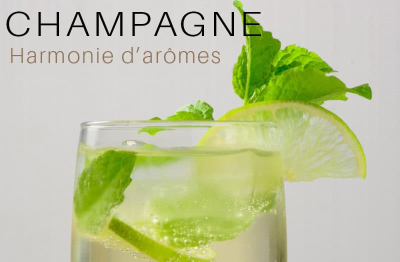 cocktail julep,julep cocktail bar,julep cocktail menu,julep cocktail recipe,julep cocktail history,cocktail julep champagne,menthe cocktail,cocktail menthe citron,cocktail menthe citron vert,menthe cocktail champagne,cocktail menthe mousseux,cocktail champagne menthe,mint champagne cocktail