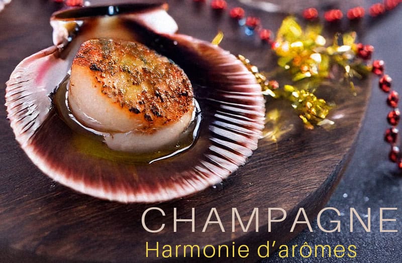 coquille saint jacques,coquille saint jacques recette,coquille saint jacques maison,coquille saint jacques champagne,coquilles st jacques poelees au champagne,coquille saint jacques au champagne,coquilles saint jacques gratinées au champagne,recette coquille saint jacques au four,recette coquille saint jacques a la poele,recette coquille saint jacques champagne,recette noix de saint jacques poelées au champagne